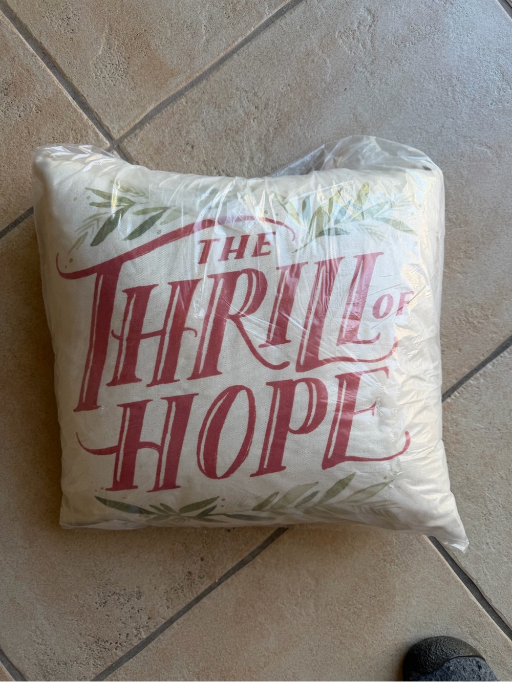 Magnolia Home Decorative Throw Pillow Saying The Thrill Of Hope Brand New NWT